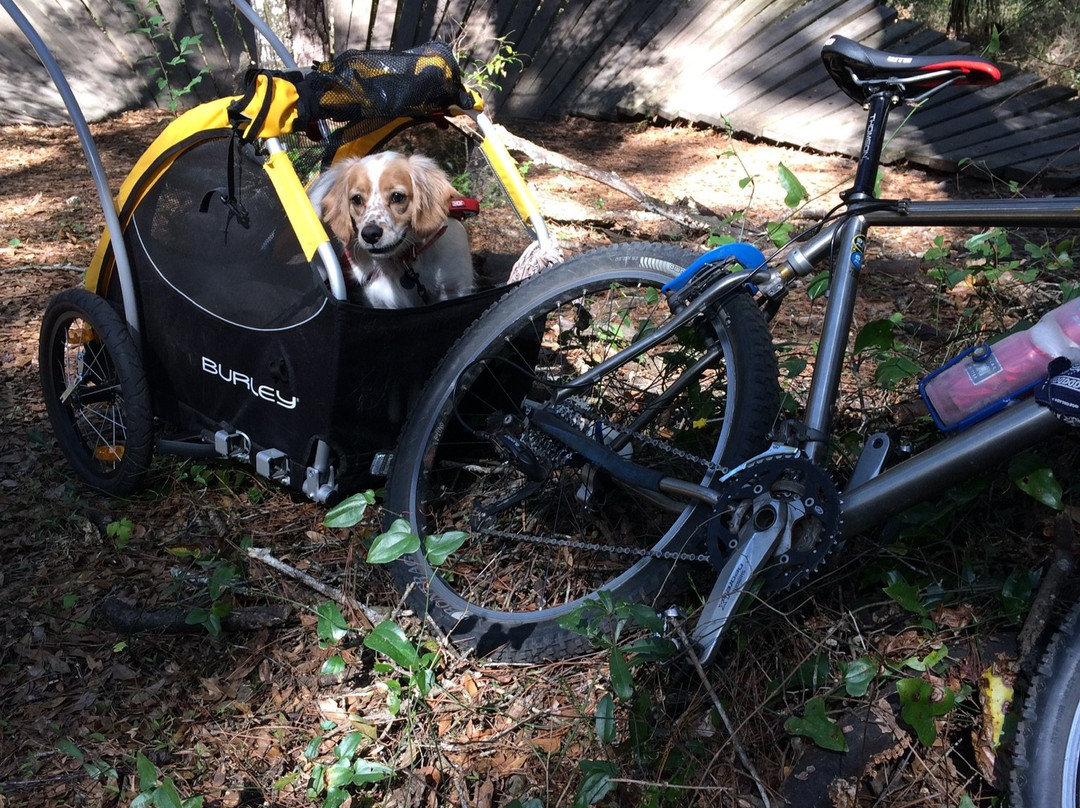 Santos Trailhead & Campground-奥卡拉必去景点