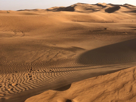 Clifton Tours-沙迦必去景点