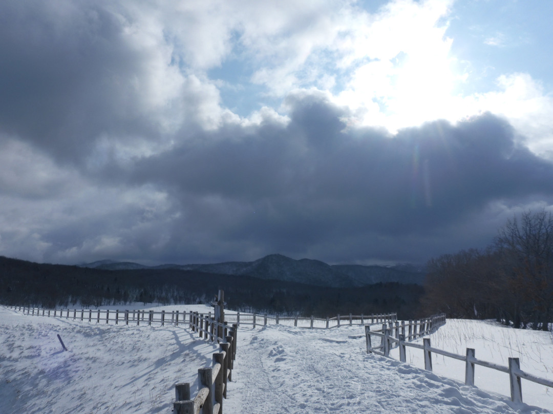 斜里町国家公园-北海道必去景点