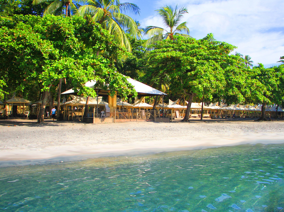 多罗瑞斯热带度假村酒店主图