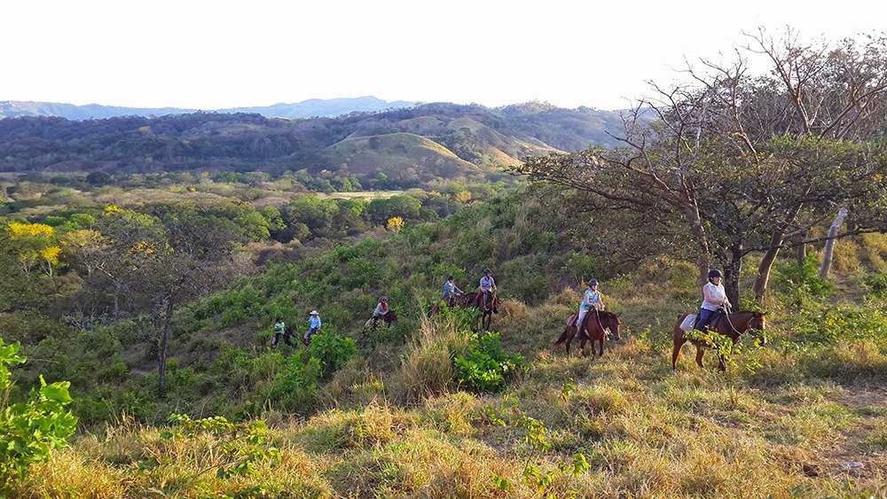 Sabanero Horse Ventures景点图片