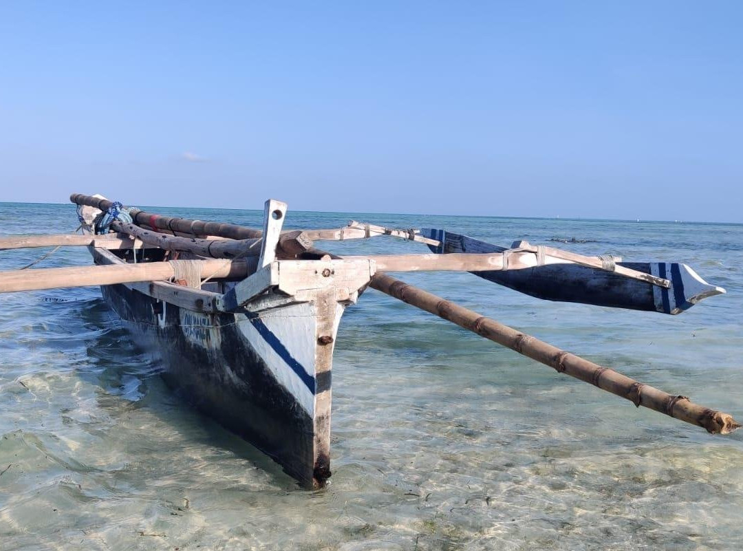 Stonefish Tours Zanzibar-江比阿尼必去景点