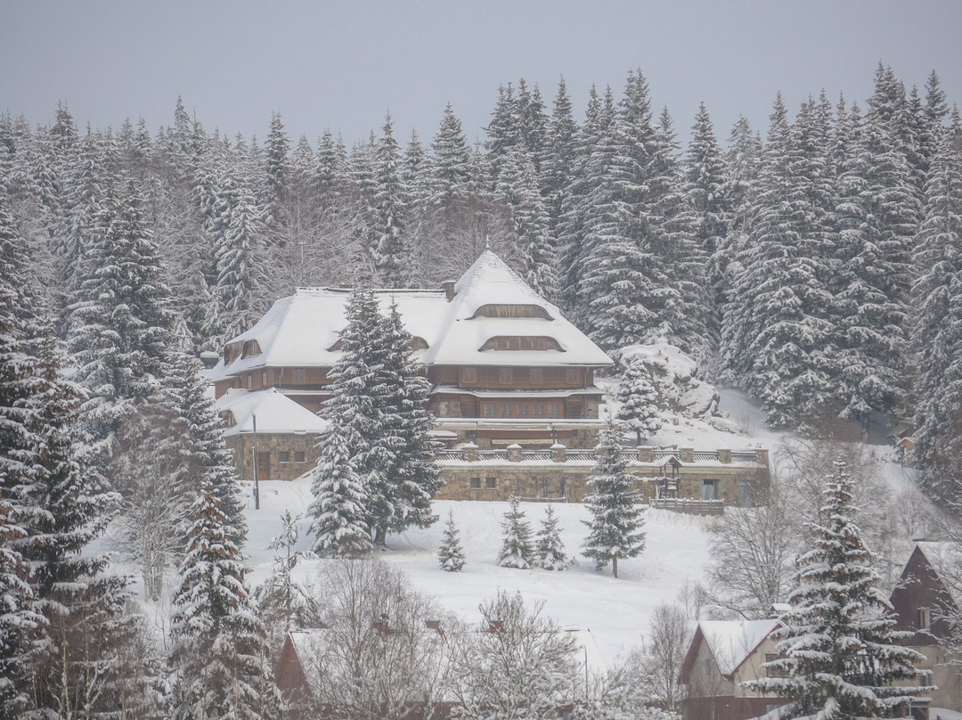 Šumava National Park-波西米亚必去景点