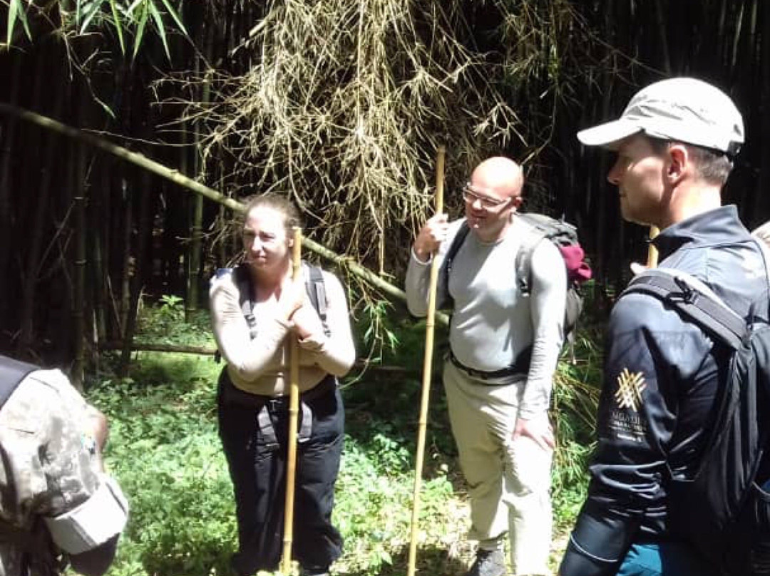 Mgahinga Gorilla National Park旅游攻略图片