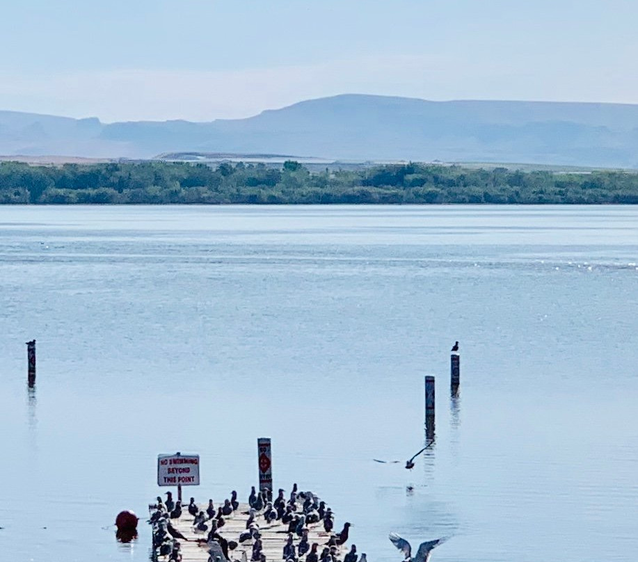 Deer Flat National Wildlife Refuge景点图片