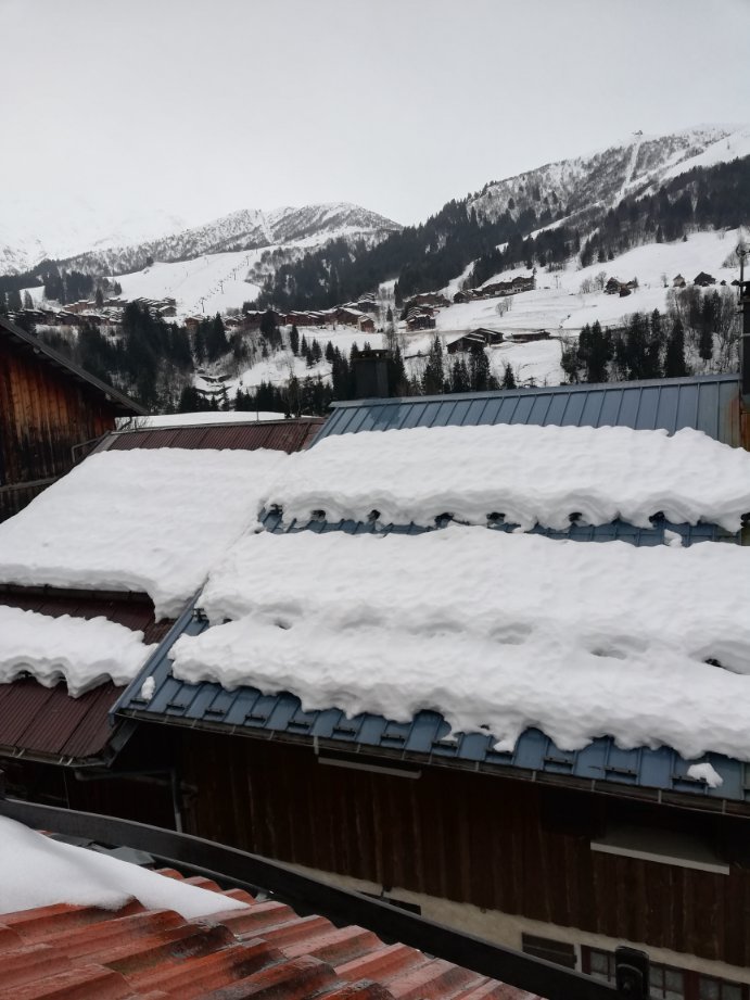 Hotel Chalet du Crey-官方
