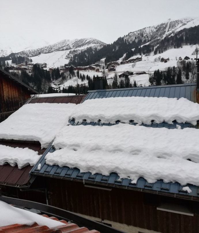 Hotel Chalet du Crey主图