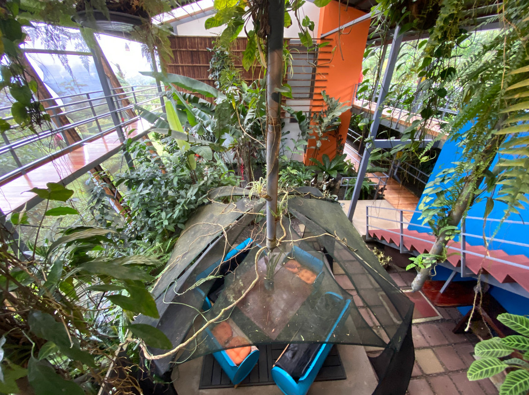 Celeste Mountain Lodge主图