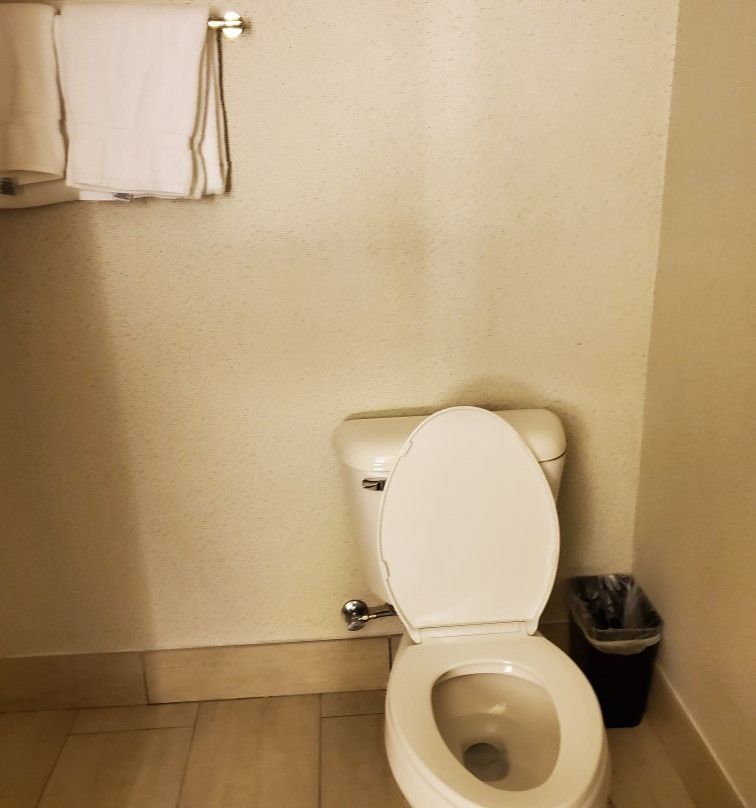 Holiday Inn Express & Suites Brentwood By IHG主图