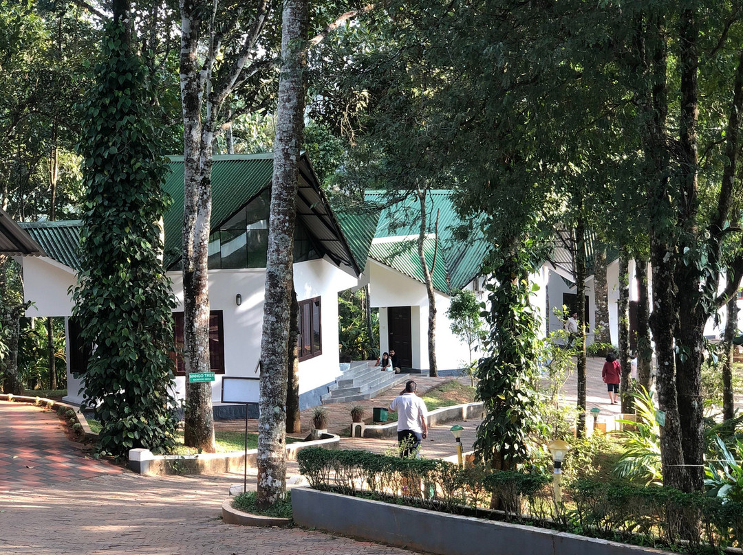 Misty Lake Resort by Stride主图