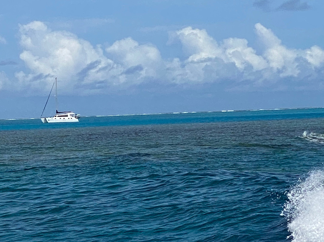 1770reef-1770镇必去景点