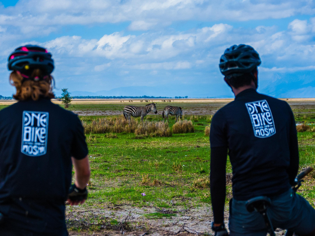 One Bike Tanzania-莫西必去景点