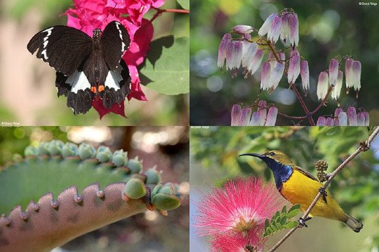 Sunbird Motel-浴室