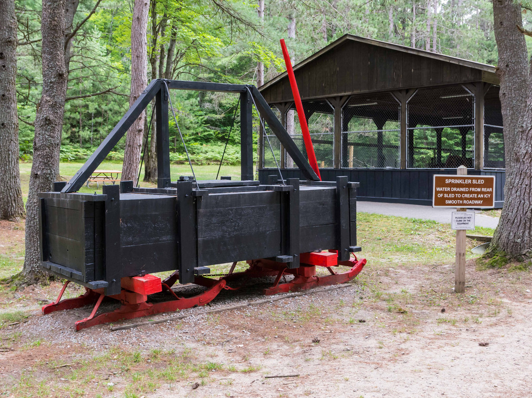 Hartwick Pines State Park景点图片