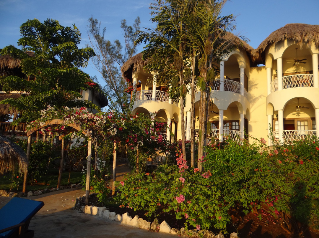 Catcha Falling Star主图