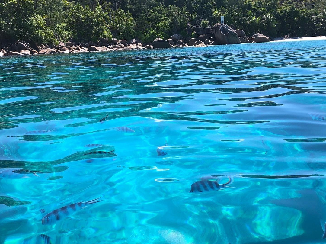One Love Boat Charter Seychelles景点图片