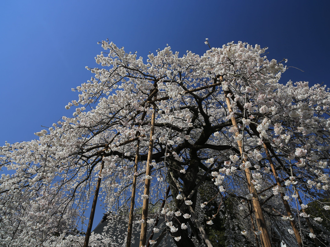 Muryojuin Shrine-野田市必去景点