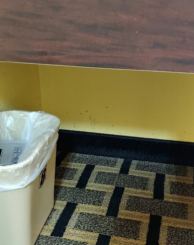 Super 8 by Wyndham Eddyville/Kuttawa主图