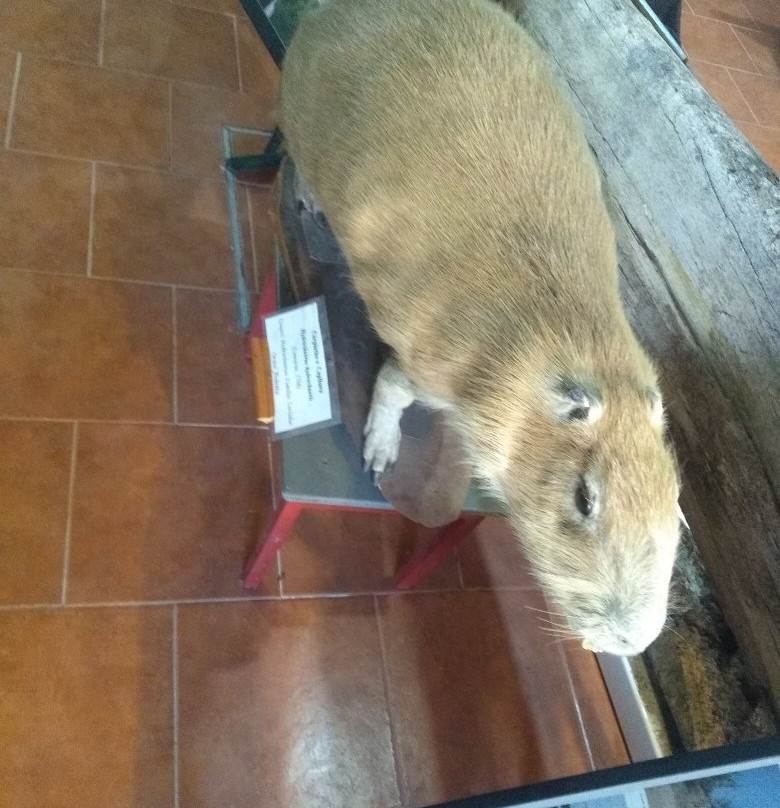 Museo Mar de Ajo-Mar de Ajo必去景点