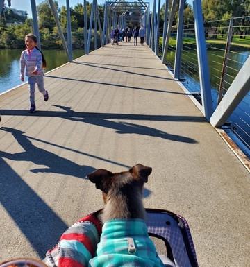Bob Jones City to Sea Bike Trail-阿维拉海滩必去景点