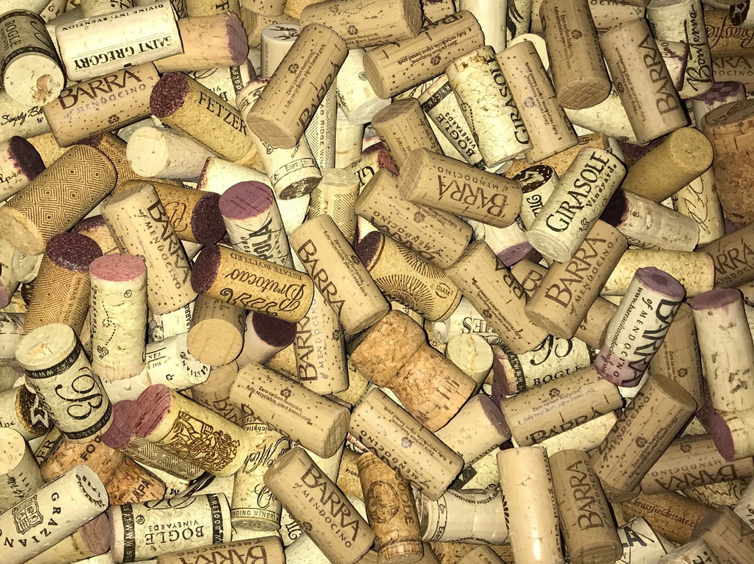 BARRA Of Mendocino Wines景点图片
