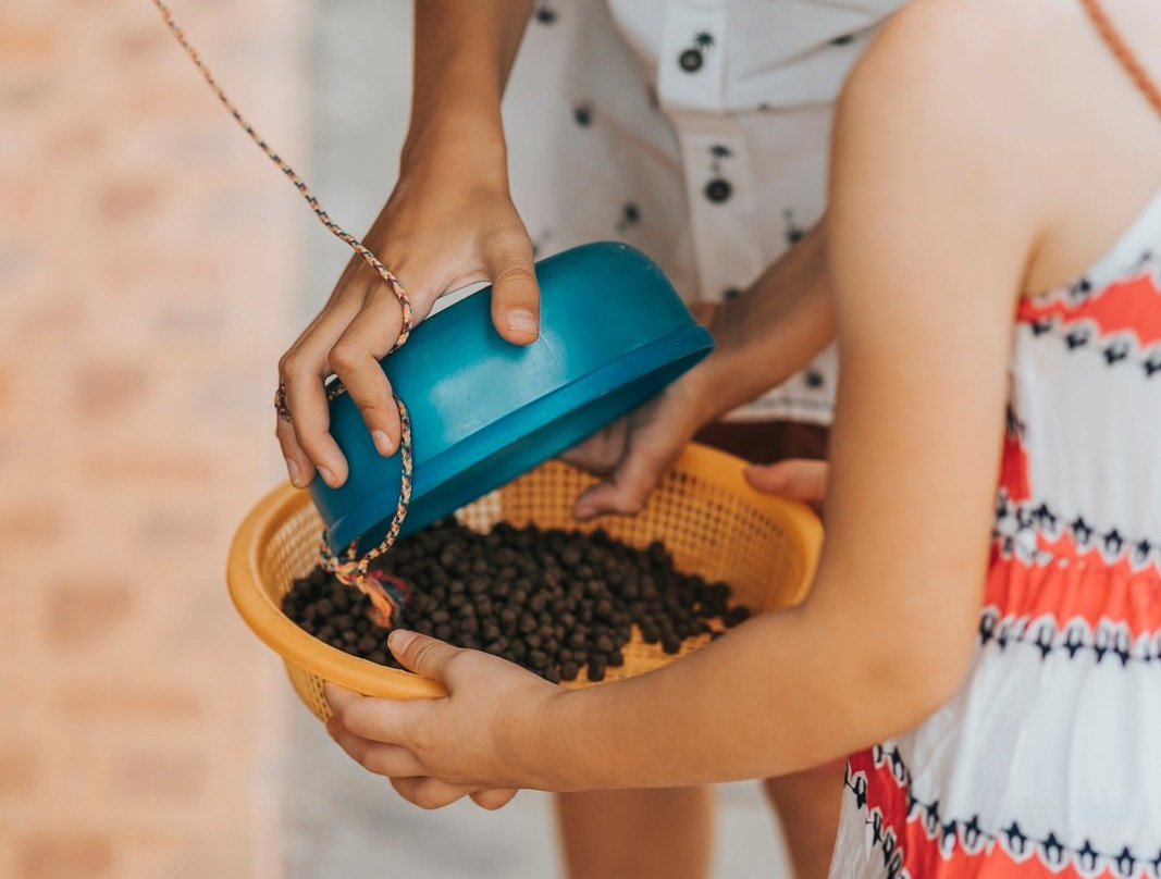 Samui Studio-苏梅岛必去景点