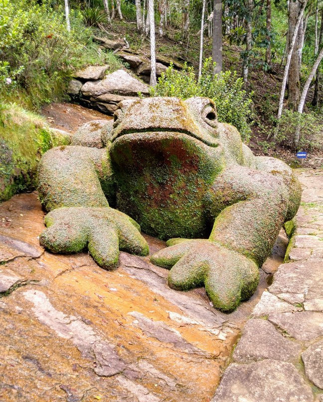 Jardim do Nêgo景点图片