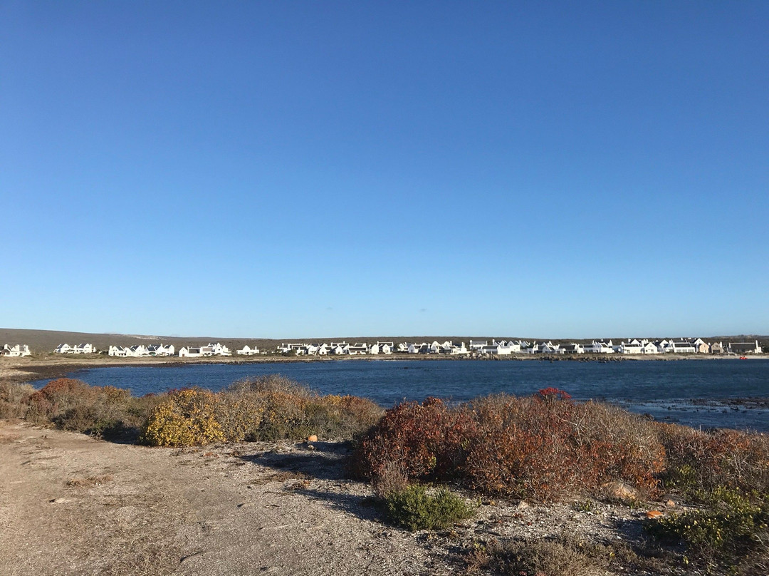 Abalone Guest House主图