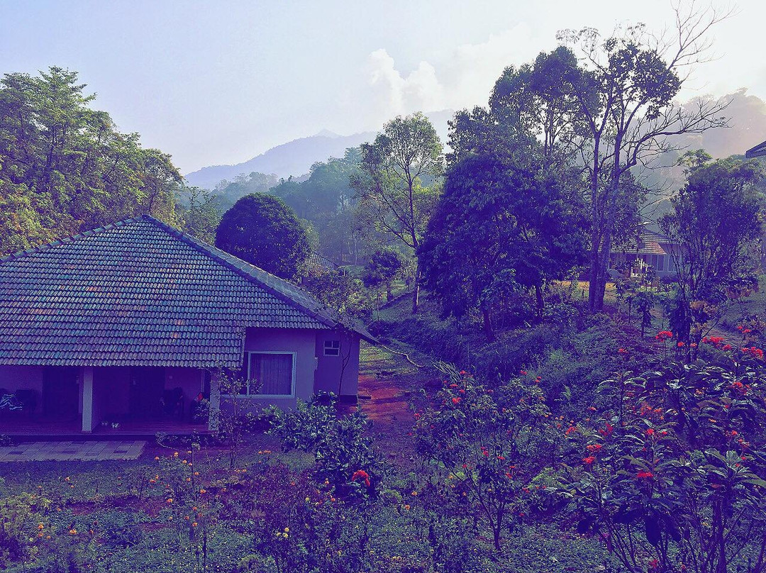 Abad Brookside Lakkidi主图