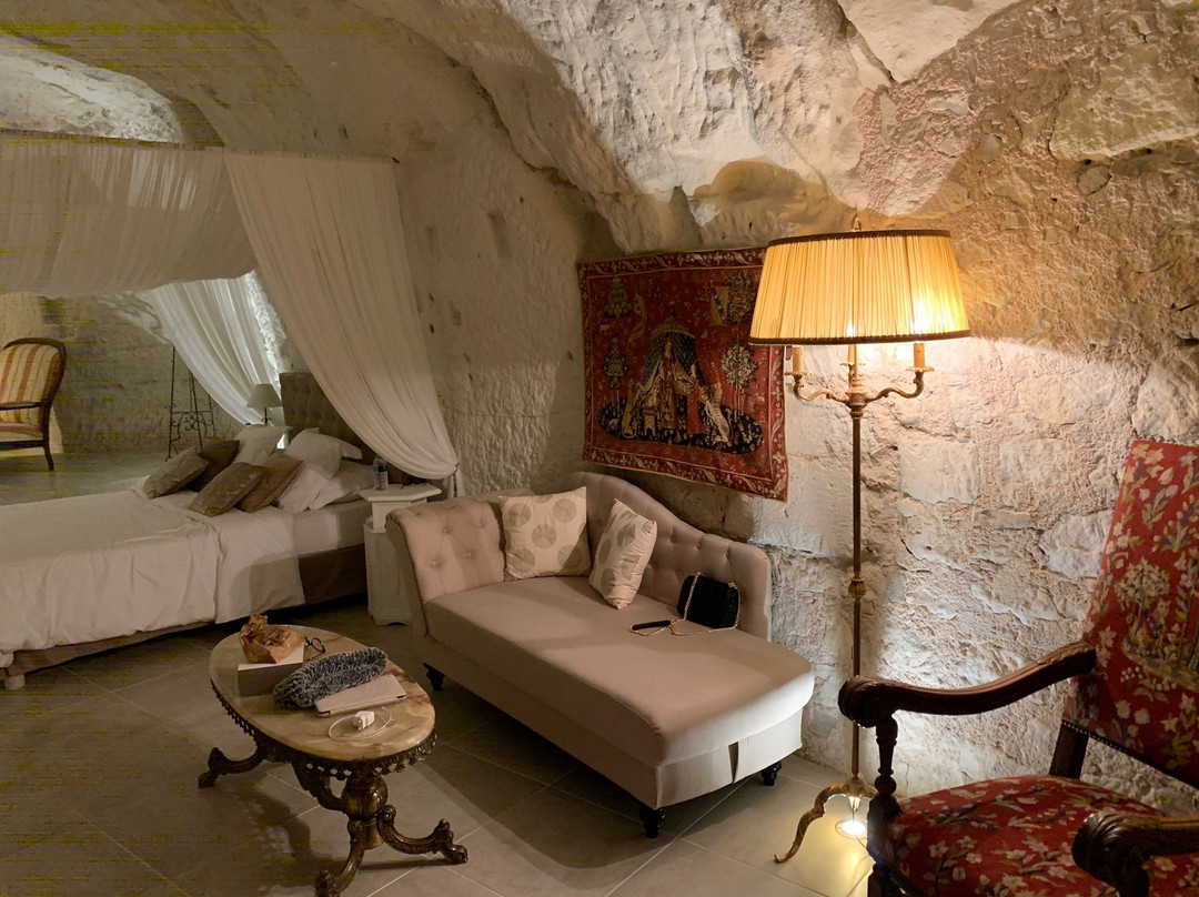 Le Manoir Des Roches 41主图