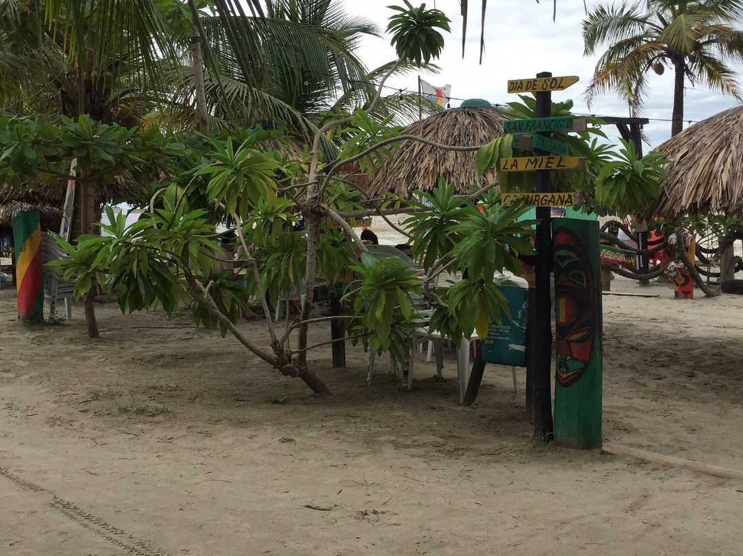 Zion beach bar-Necocli必去景点