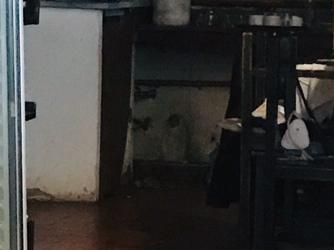 Trenque Lauquen酒店住宿-Hotel Los Nogales