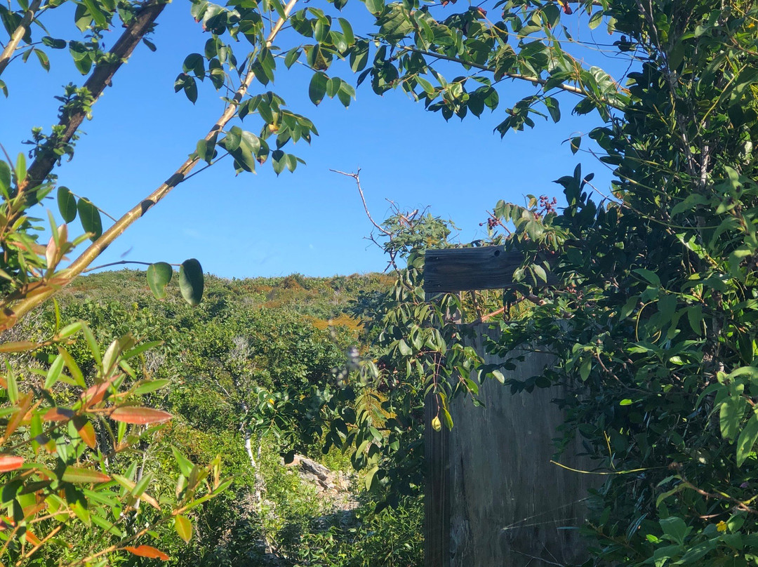 Crossing Place Trail-Conch Bar必去景点