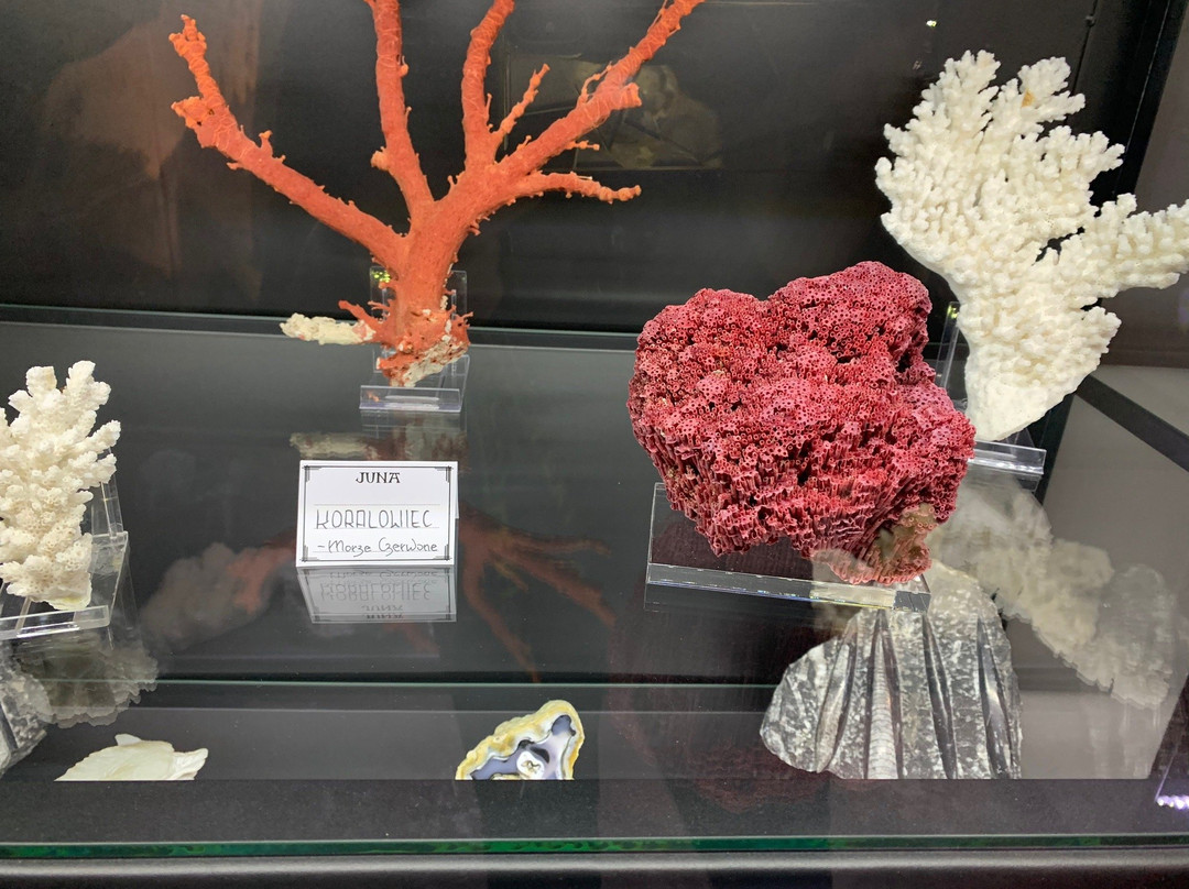 JUNA MINERALS & ROCKS Museum景点图片
