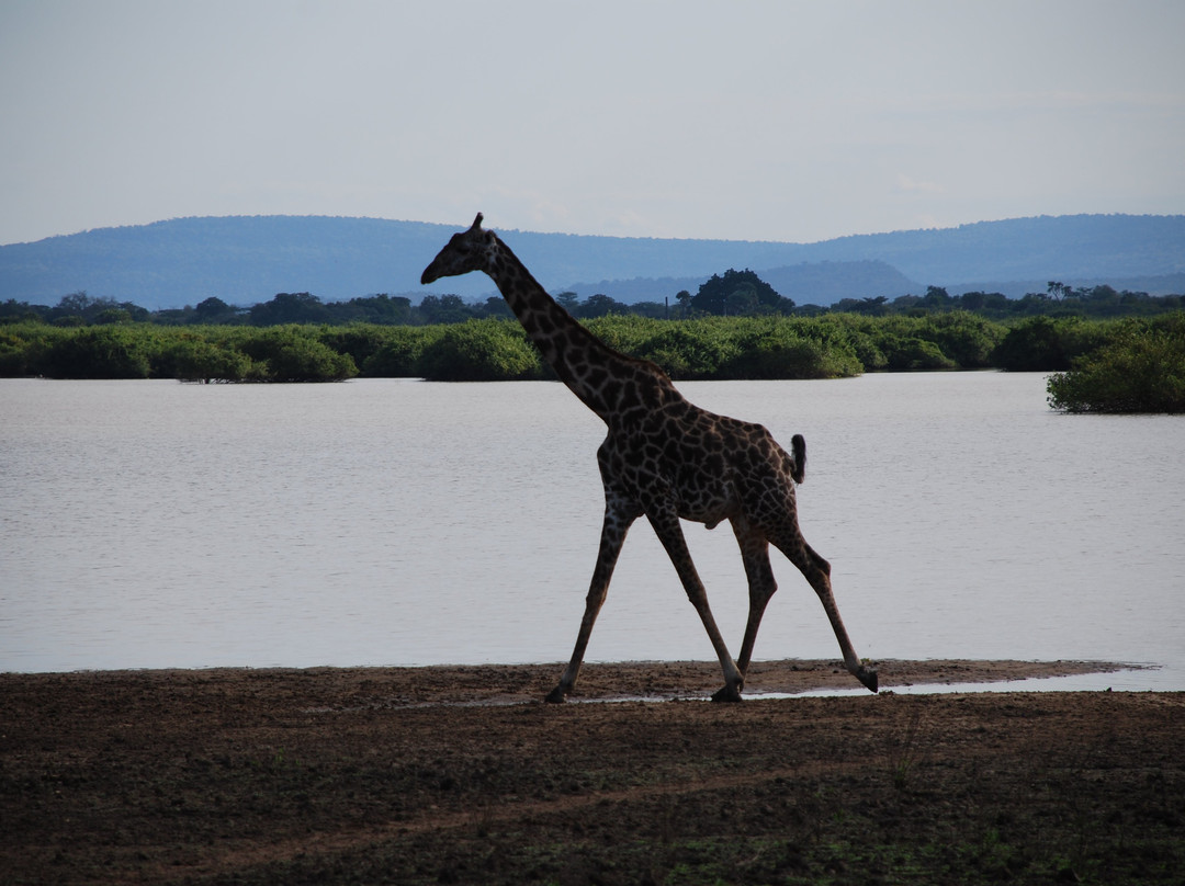 Kumekucha Africa Safaris Tours-Dar es Salaam必去景点