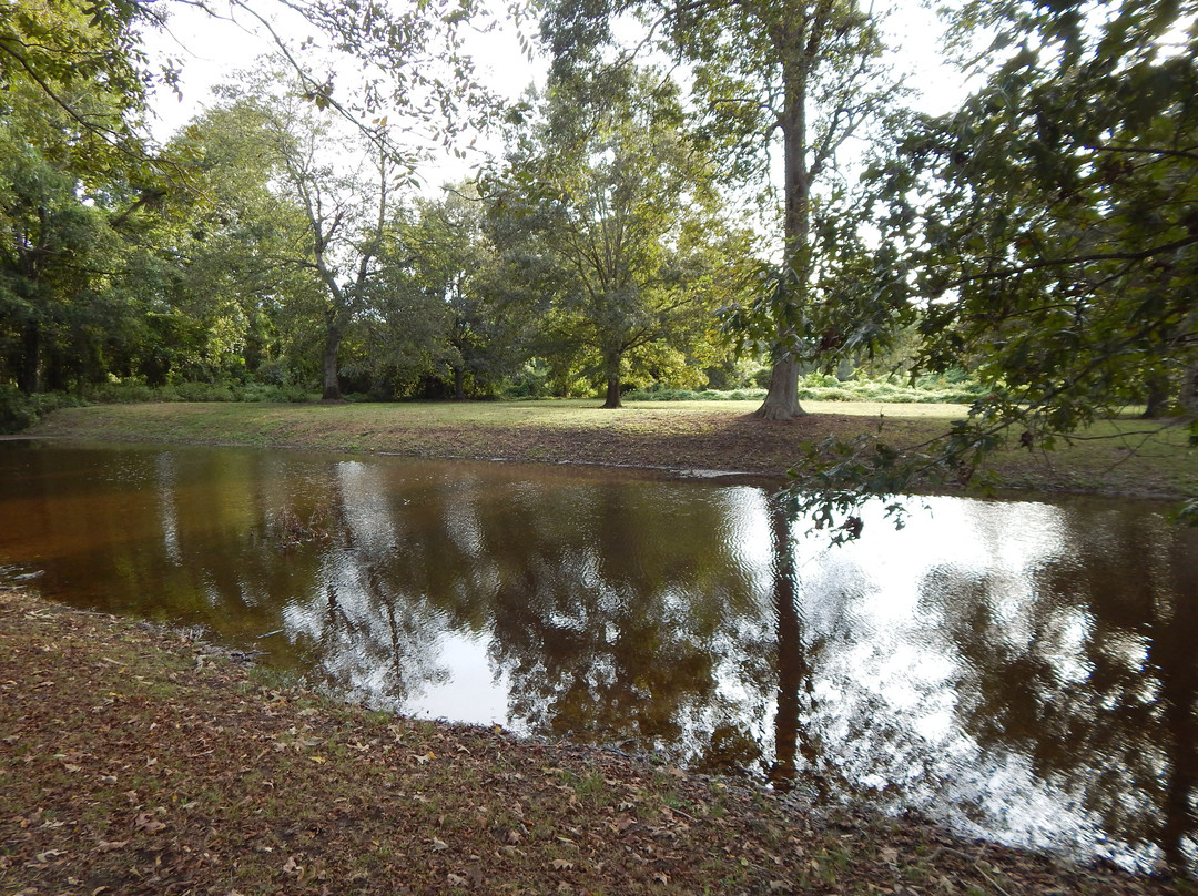Grant's canal-Delta必去景点