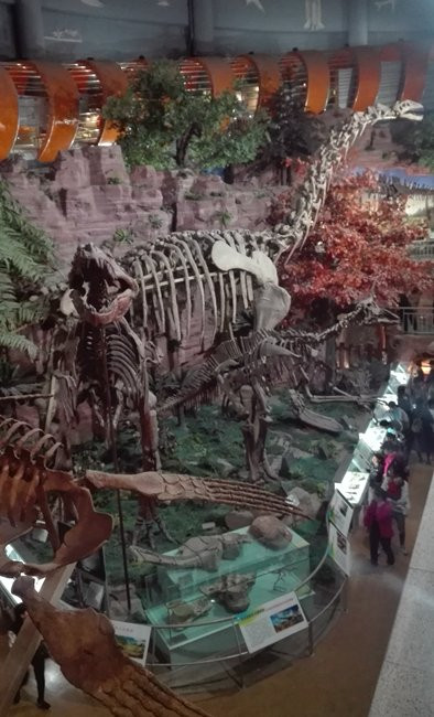 河南地质博物馆-郑州市必去景点