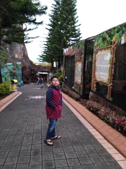 Batu Secret Zoo (Jawa Timur Park 2)景点图片