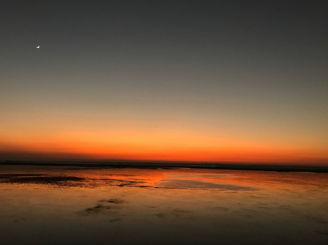 Baikka Beel Wetland Sanctuary-Sreemangal必去景点