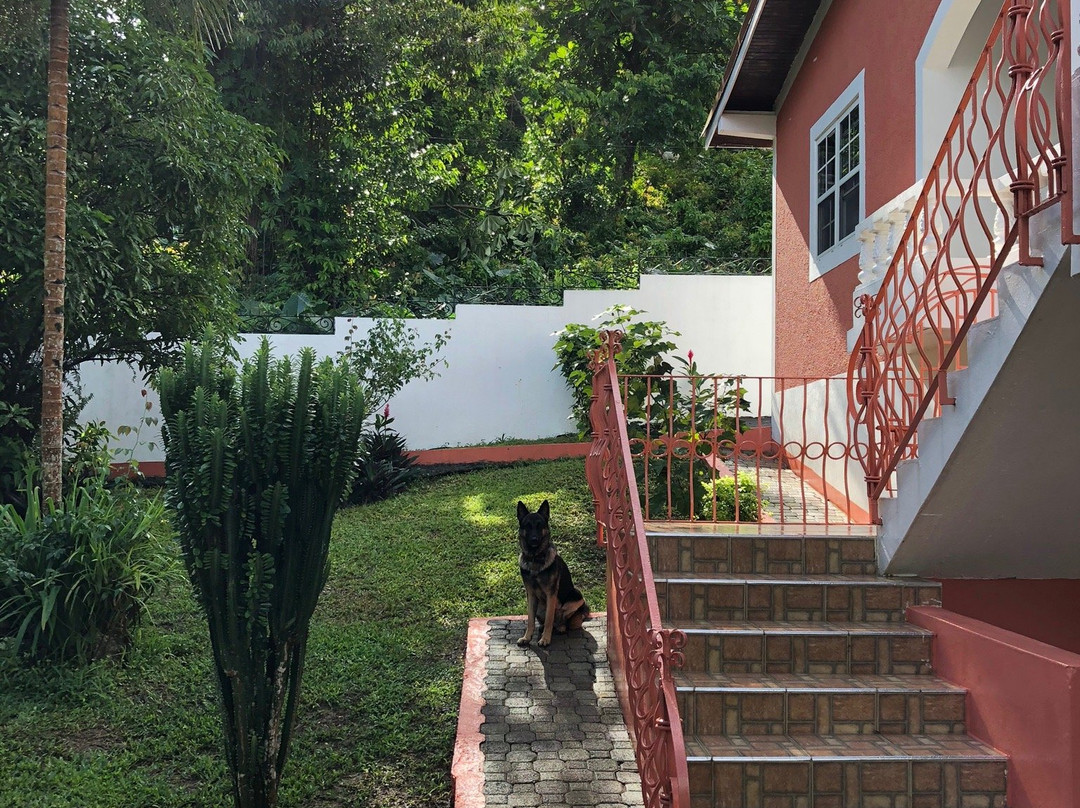 Polish Princess Guest House主图