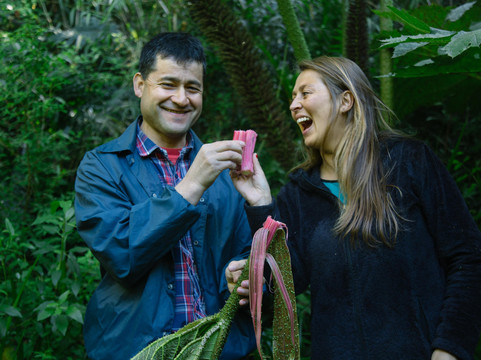 Turismo Pacífico-巴拉斯港必去景点