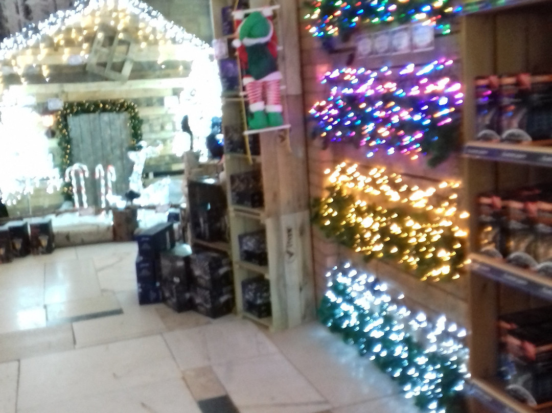 Baytree Nurseries Ltd-Weston必去景点