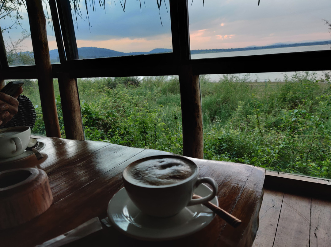 Evolve Back, Kabini主图