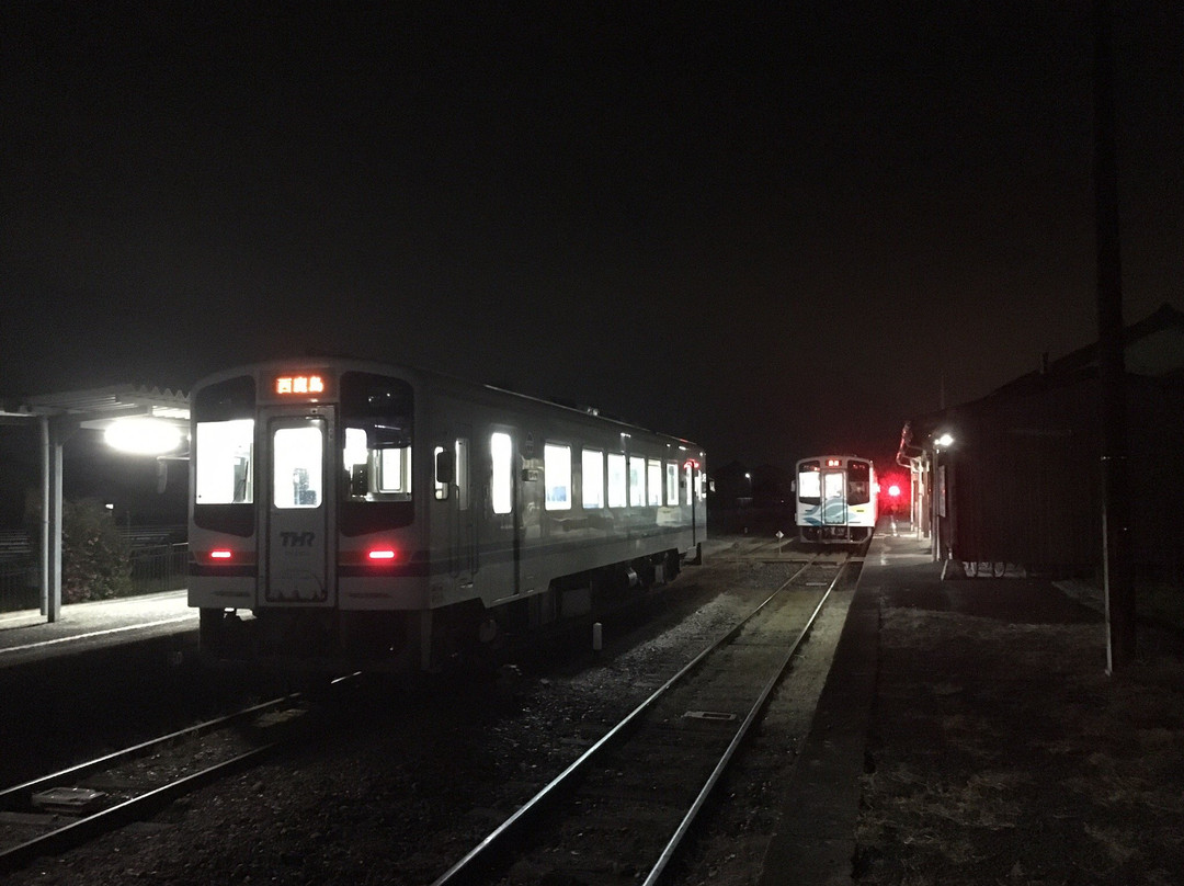 Tenryu Hamanako Railway景点图片