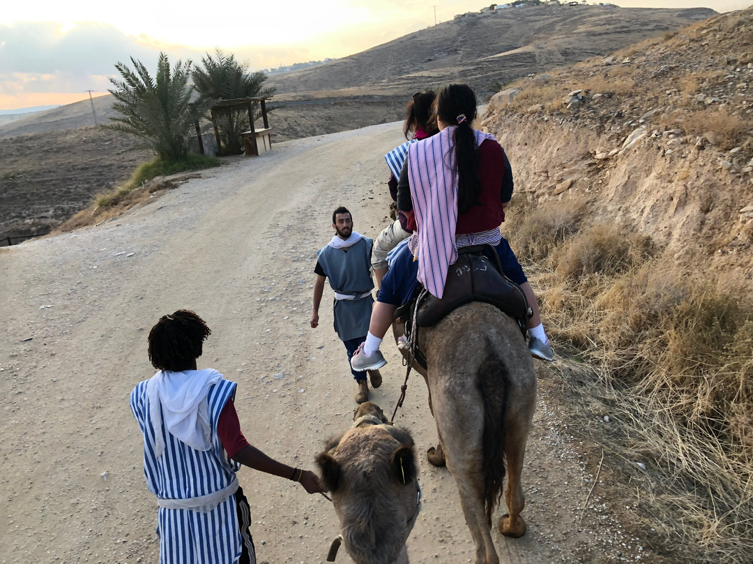 Genesis Land-Alon必去景点