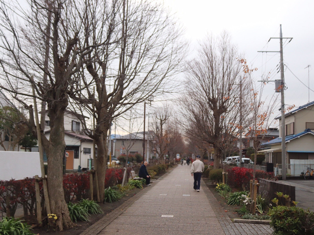 Ichinomiya Pedestrian Path-寒川町必去景点