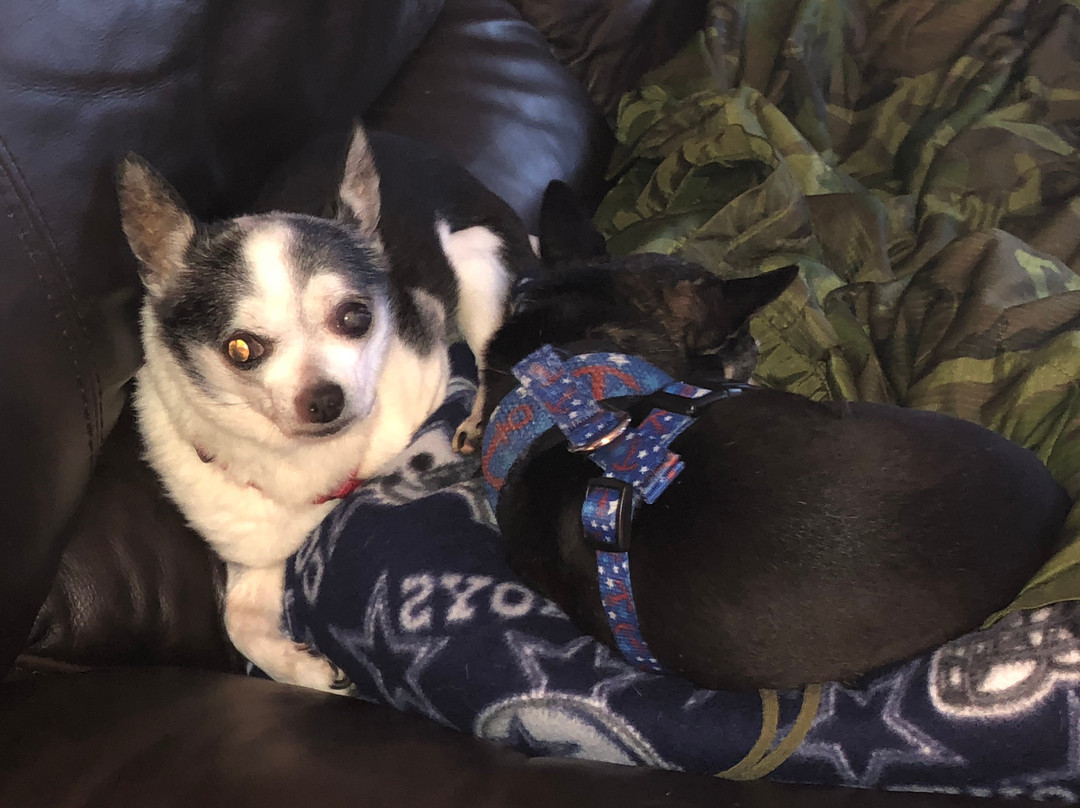 La Quinta Inn & Suites by Wyndham Edmond主图