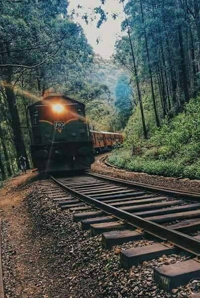 Sri Lanka Car Tours-科伦坡必去景点