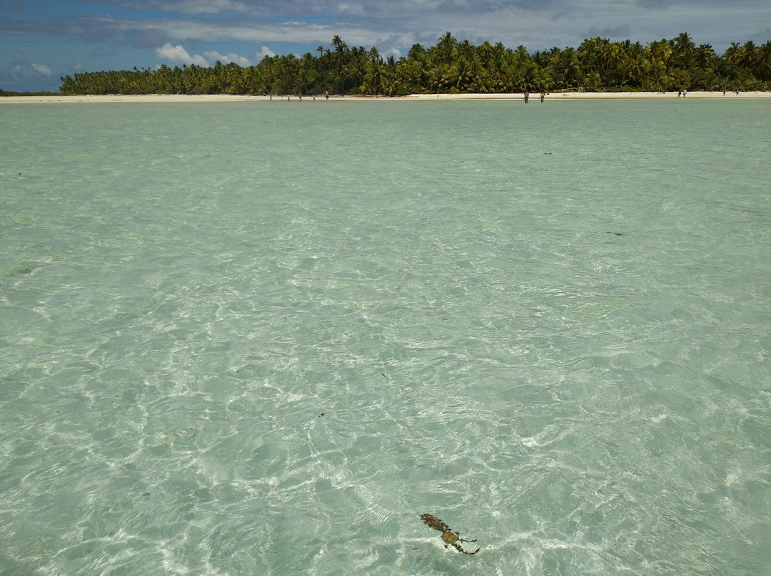 Excursion Tetiaroa-帕皮提必去景点