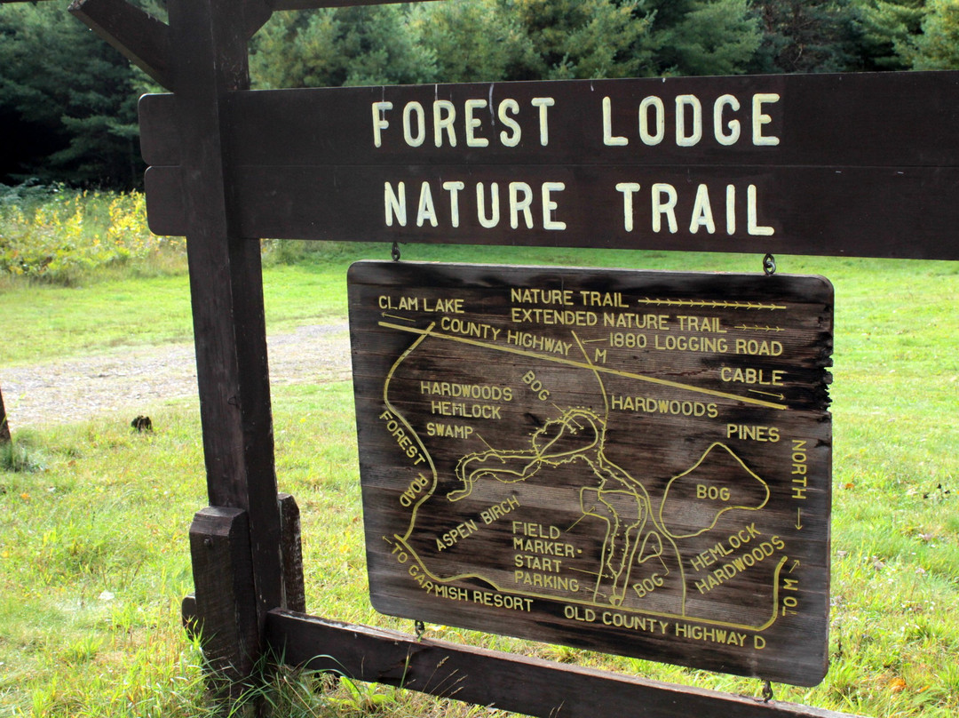 Forest Lodge Nature Trail景点图片